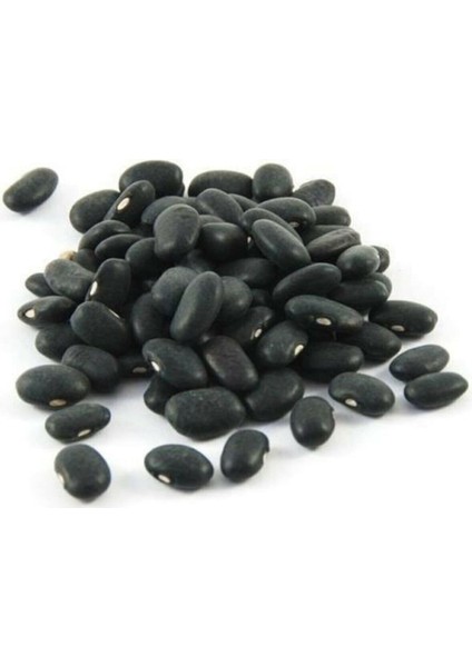 20 Adet Yediveren Siyah Fasulye Tohumu modelleri