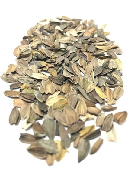 Karışık Renkli Lekeli Zinnia Çiçeği Tohumu fırsatları