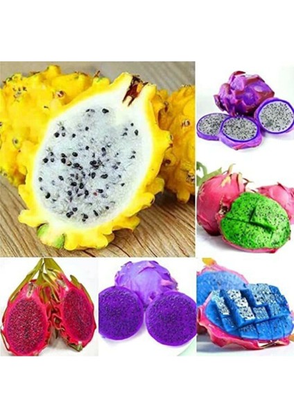 9 Adet 9 Renk Tropikal Dragon Fruit (Pitaya) Meyvesi Tohumu fiyatları