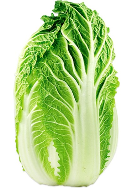 Çin Marulu 3,5 kg