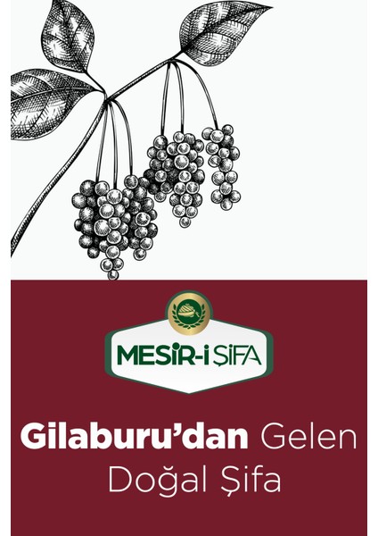 Gilaburu Nektarı Şeker Ilavesiz Organik Gilaburu Suyu 1 lt Meyve Suyu