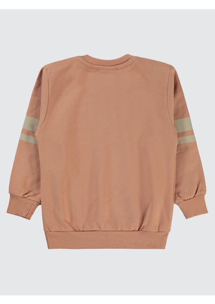 Erkek Çocuk Sweatshirt 2-5 Yaş Kiremit fiyatları