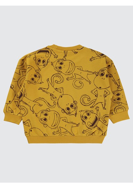 Erkek Çocuk Sweatshirt 2-5 Yaş Hardal fiyatları