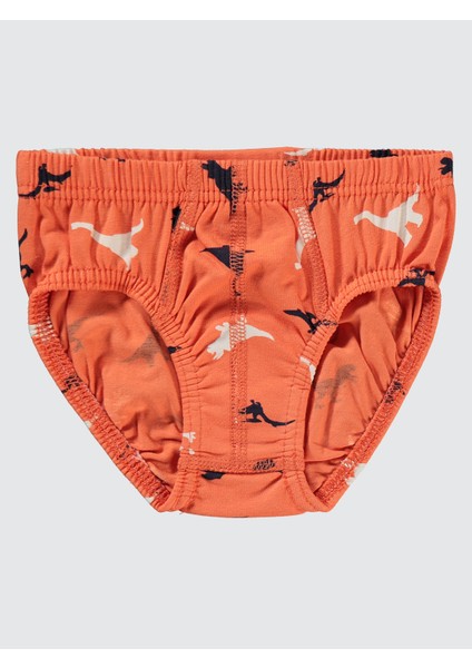 Erkek Çocuk 2'li Külot Set 2-10 Yaş Lacivert fiyatları