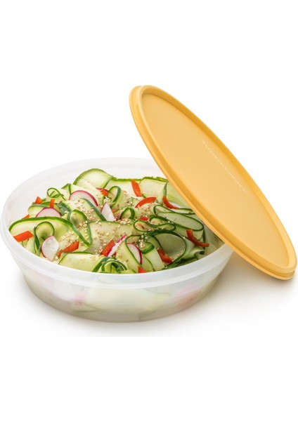 Klasik Saklama Kabı 1l Güneş fiyatları