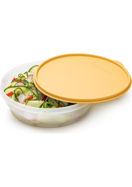 Klasik Saklama Kabı 1l Güneş modelleri