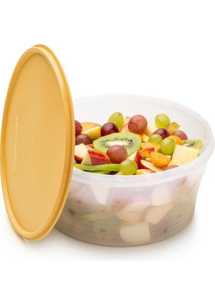 Klasik Saklama Kabı 1.9l Güneş modelleri