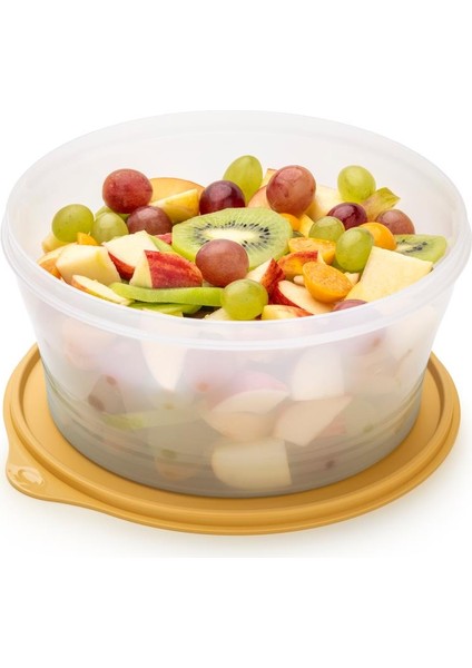 Klasik Saklama Kabı 1.9l Güneş fırsatları