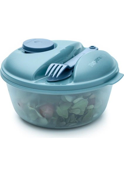 Salata Kabı