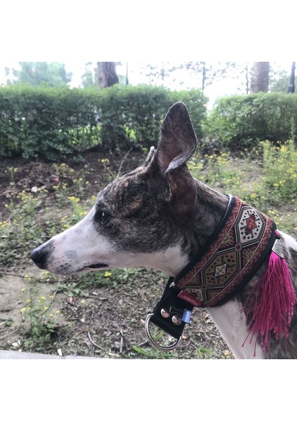Büyük Köpek Tasmaları, Köpek Tasmaları, Evcil Hayvanlar, Tazılar, Tazılar, Tazılar, Av Köpeği Tasmaları, Koyun Derisi Tasmaları, Demokratik Tarz (Yurt Dışından) fiyatları