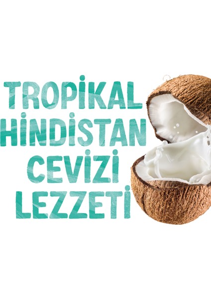 Hindistan Cevizi Sütü 2x1 L Vegan Laktozsuz Bitkisel Bazlı
