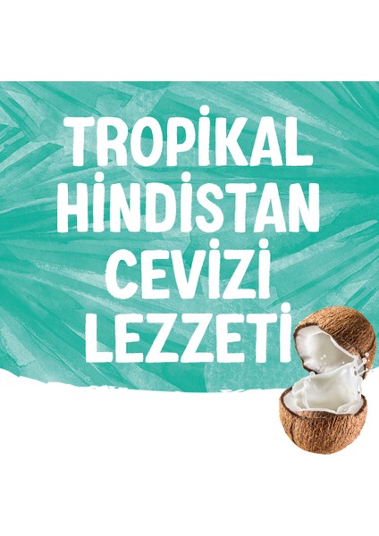 Hindistan Cevizi Sütü 2x1 L Vegan Laktozsuz Bitkisel Bazlı
