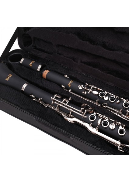 CL100-G Sol Klarnet