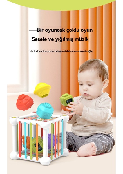 Eleganceemporium Bebek Gökkuşağı Sesele Eğitici Oyuncaklar (Yurt Dışından)