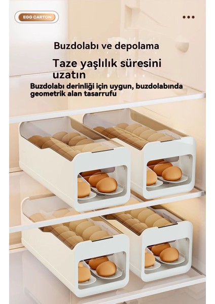 Yumurta Saklama Kutusu Raf Tutucu Yumurta Haddeleme Eseri (Yurt Dışından)