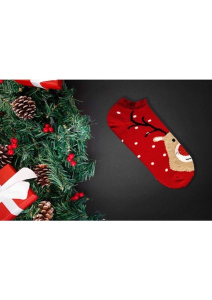 Tekno Trust 5'li Yılbaşı Christmas Noel Renkli Çoraplar Seti