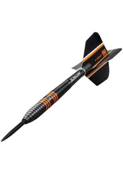 Raymond Van Barneveld % 80 Tungsten Çelik Uçlu Dart Oku fiyatları