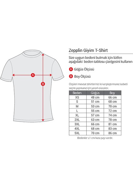 LED Zeppelin Circle Gri Tişört