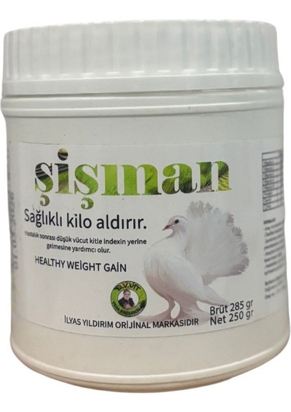 Kumrukuşevi Şişman