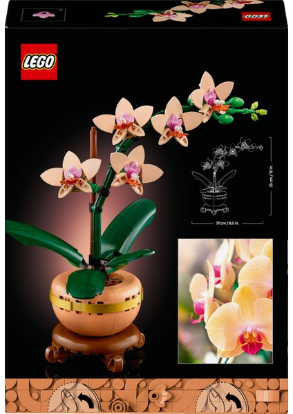 ® Botanicals Mini Orkide 10343 - Yetişkinler için Dekoratif Çiçek Yapım Seti (274 Parça)