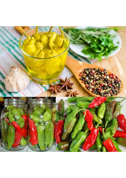 Pepperoncini Acı Biber Tohumu Geleneksel Italyan modelleri