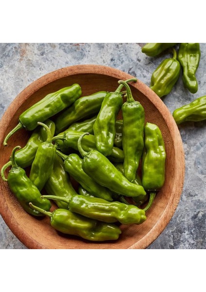 Pepperoncini Acı Biber Tohumu Geleneksel Italyan fırsatları