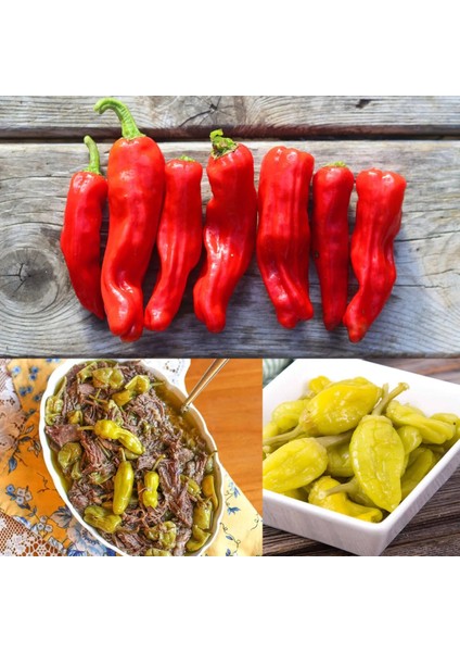 Pepperoncini Acı Biber Tohumu Geleneksel Italyan indirimleri