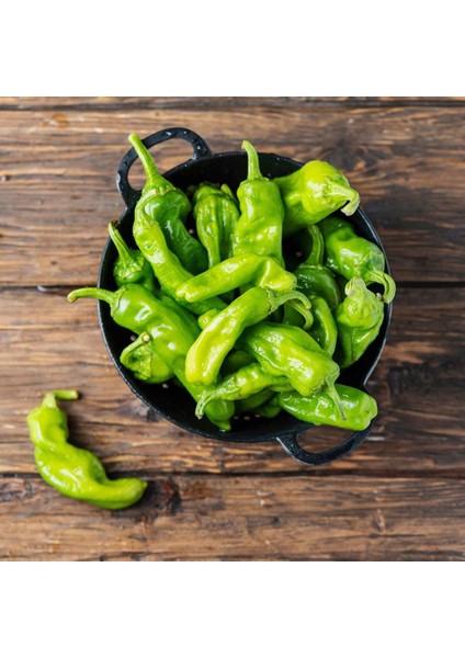 Pepperoncini Acı Biber Tohumu Geleneksel Italyan
