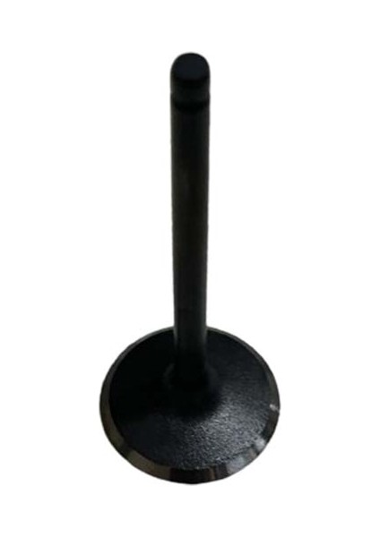 Honda PCX150 2014-2017 Subap Emme Subabı A