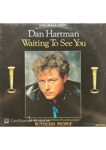 Dan Hartman - Waiting To See You (Lp Plak)