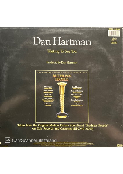 Dan Hartman - Waiting To See You (Lp Plak)