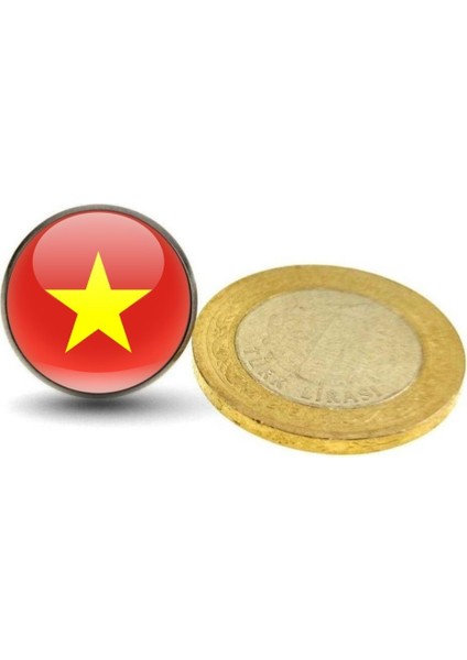 Vietnam Vietnamese Ülke Bayrağı Paslanmaz Çelik Pin 3D Yuvarlak Camlı Rozet