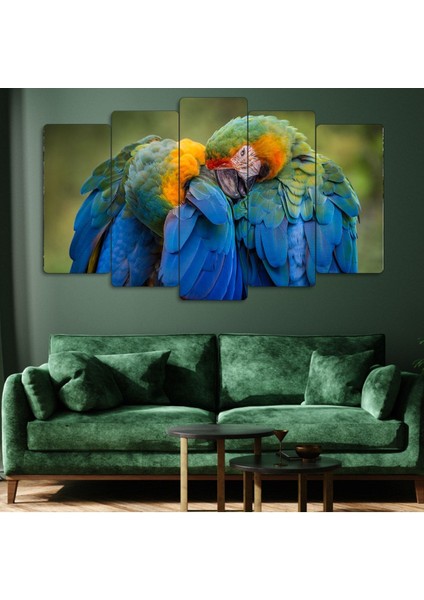 Zevahir 5 Parça Mdf Papağan Aşkı Tablosu