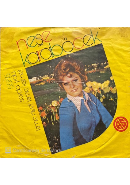 Neşe Karaböcek – Sevda Yolu 45'lik Plak