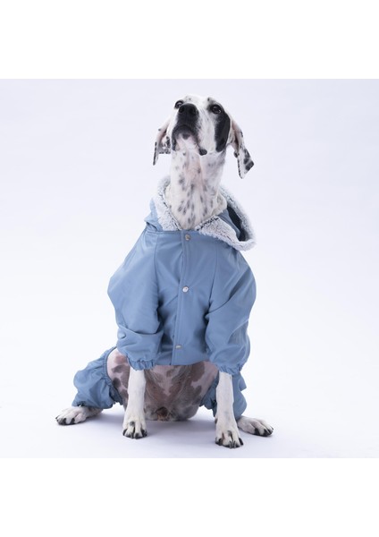 Siyah Kürklü Orta Büyük Tulum Yağmurluğu(18-40 kg Arası Orta Büyük Irklar) modelleri