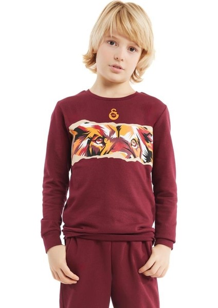 Lisanslı Tam Fermuarlı Dik Yaka Kırmızı Çocuk Sweat modelleri