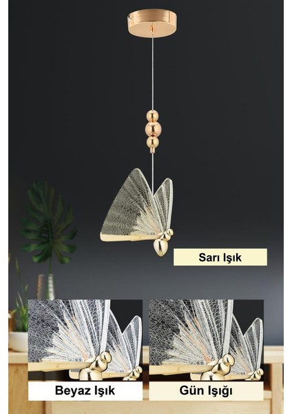 Istanbul Avize Ipek Tekli Gold Ledli 3 Renk Modern LED Avize