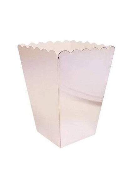 Metalik Gümüş Mısır Kutusu 8'li modelleri