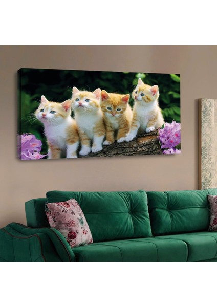 Zevahir 120x60 Kanvas Yavru Kediler Tablosu