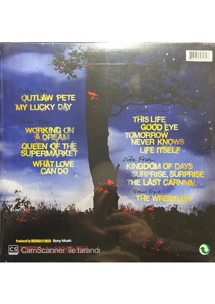 Bruce Springsteen – Working On A Dream LP Plak fiyatları