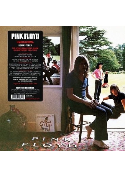 Pink Floyd Ummagumma (2016 Remastered Version) Double LP Plak