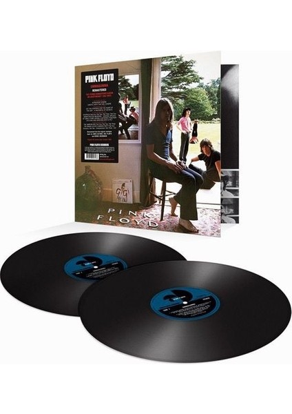 Pink Floyd Ummagumma (2016 Remastered Version) Double LP Plak