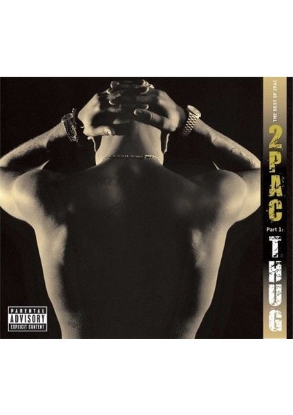 2PAC The Best Of 2PAC Part 1: Thug Double LP Plak