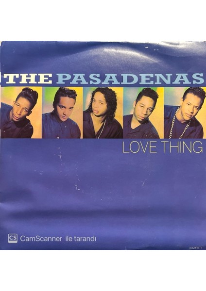 The Pasadenas Love Thing 45'lik Plak