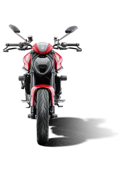 Radyatör Koruma Ducati Monster 950 2021+ Uyumlu