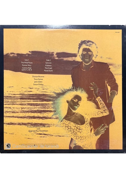 Dunca Browne The Wild Places LP Plak