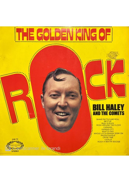 The Golden King Of Rock Bill Halley LP Plak