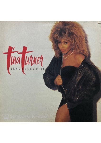 Tina Turner Break Every Rule LP Plak