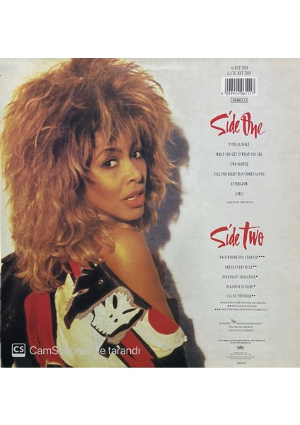 Tina Turner Break Every Rule LP Plak