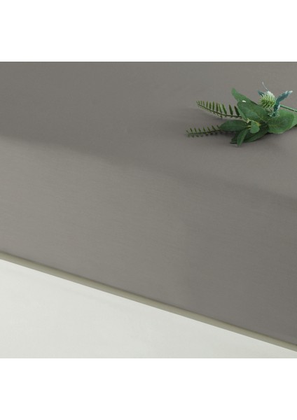 Mix&Match Pamuk Saten Süperking Size Lastikli Çarşaf Vizon
